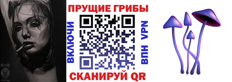 что такое наркотик  Ипатово  OMG tor  Псилоцибиновые грибы GOLDEN TEACHER 